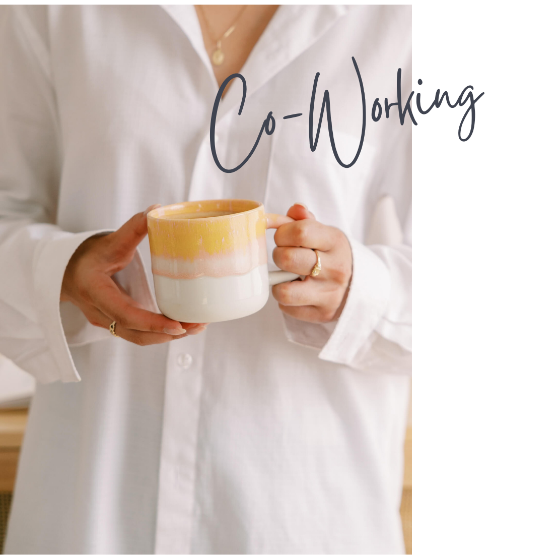 Online Kurs SEO lernen App